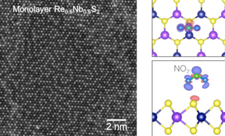 Atomic-resolution electron microscopy image of the bilayer and trilayer regions of Re0.5Nb0.5S2 revealing its stacking order