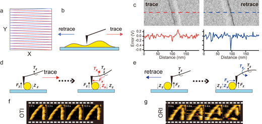 Difference of invasiveness between trace and retrace scanning processes
