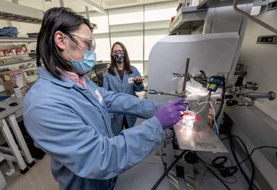Guosong Zeng, a postdoctoral scholar, and Francesca Toma, a staff scientist, both in the Chemical Sciences Division of Lawrence Berkeley National Laboratory
