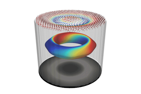 Artist’s drawing of characteristic 3D spin texture of a magnetic hopfion