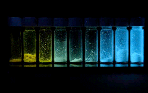fluorescent polymers