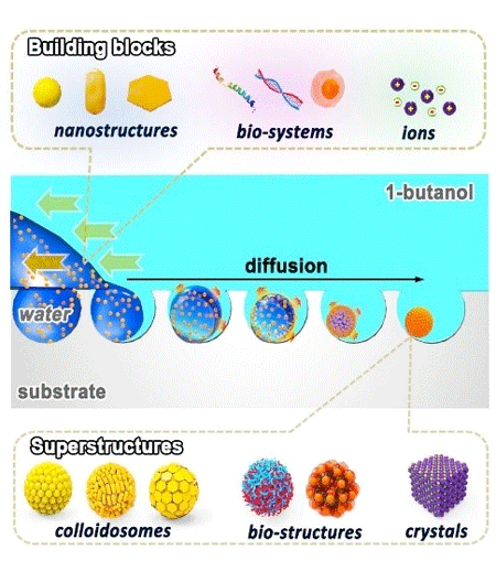 Schematic illustration of the self-assembly of the superstructures based on the template-assisted emulsion strategy