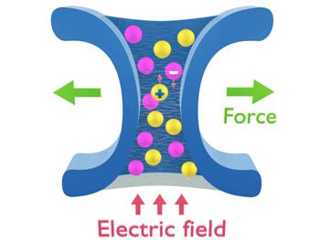 Applying an electric field across an ion channel leads to opposite currents of cations and anions
