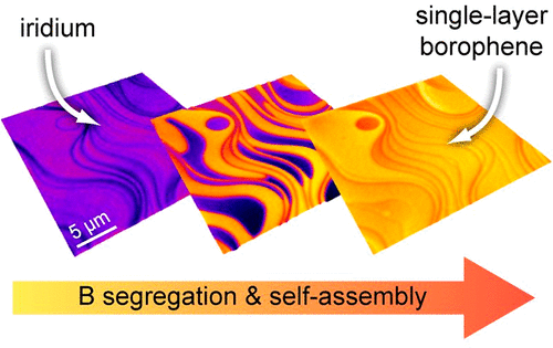Segregation-Enhanced Epitaxy of Borophene on Ir(111) by Thermal Decomposition of Borazine