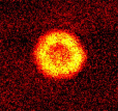 Image of the molecules successfully pooled into a Bose-Einstein condensate