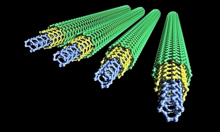 Multilayer carbon nanotubes