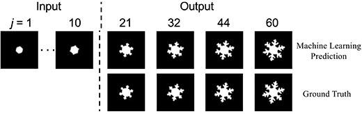 nowflake-like dendritic crystal growth