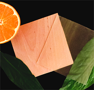 Image of transparent wood with a slice of orange