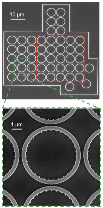 arrays of ring-shaped microlasers