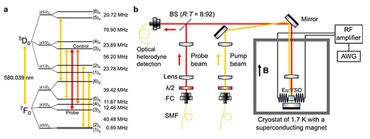 One-hour coherent optical storage in an atomic frequency comb memory