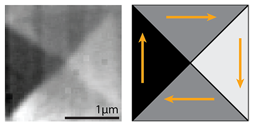 Scanning transmission X-ray microscopy image showing how micromagnets are split into four triangular domains, each with a different magnetic orientation