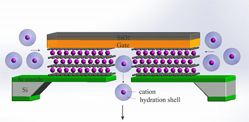 Schematic of the atomic-scale ion transistor made of graphene channels