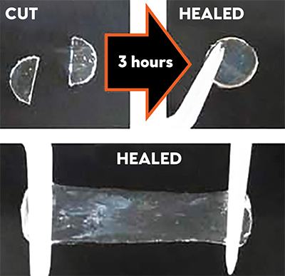 An ion gel cut into two pieces healed itself after several hours