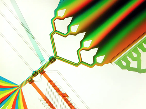 microfluidic chip with colored liquids