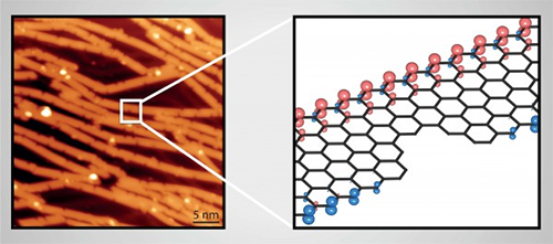 zigzag graphene nanoribbons