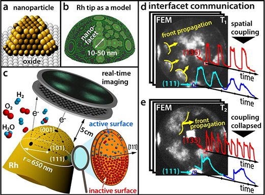 nanoparticle catalyst model