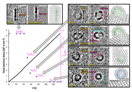 TEM, simulation, and model images of intermediates that were identified during the course of the reaction
