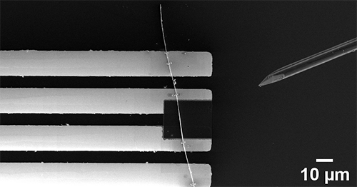 Scanning electron microscopy (SEM) image showing an example of a nanofabricated single-element device used for the gas sensing measurements