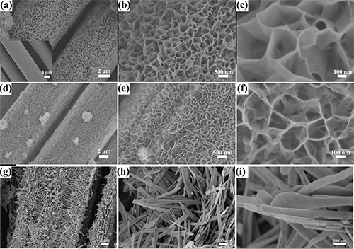 SEM images of nanostructures