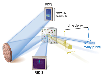 A schematic of the resonant inelastic x-ray scattering (RIXS) and resonant elastic x-ray scattering (REXS) setups