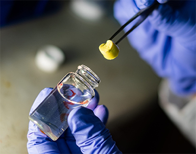 aerogel held by pincer