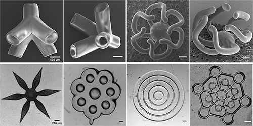 Examples of the geometries that the high-throughput 3D bioprinter can rapidly produce