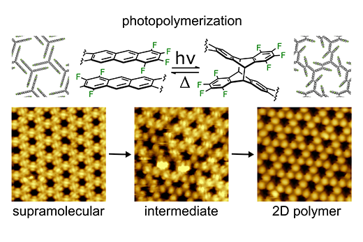 Reaction path from the self-organized molecular pattern to the regularly linked 2D polymer