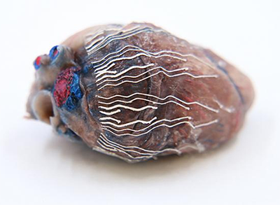 3D-pinted biosensor made of soft bio-inks interfaces with a pig heart