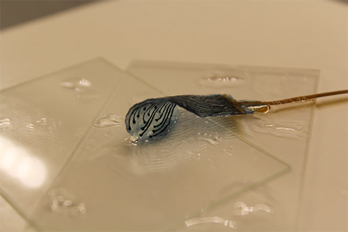 hydrogel electrodes that flow to fit the body