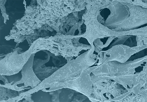  scanning electron microscope (SEM) image shows a close-up of an electrode’s graphene flakes and carbon nanotube components