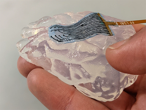  handing holding a hydrogel electrode on gelatinous agarose