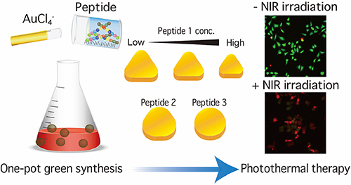 Striking Gold: Synthesizing Green Gold Nanoparticles for Cancer Therapy with Biomolecules