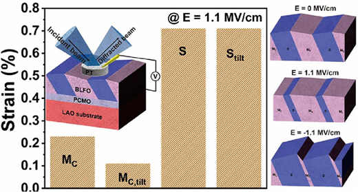 Mixed-phase epitaxial BLFO thin film represents significant electric field-induced phase transformation dynamics