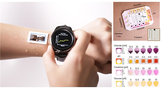 Sweat as a source of biomarkers for a wearable monitoring device