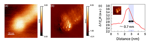 Photoinduced force profiles of quantum dots