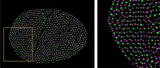 crystalline 3D patterns of gold-polystyrene nanoparticles