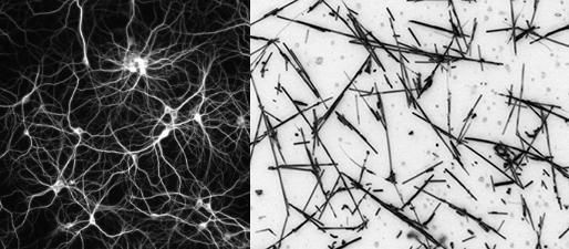 An artist's impression of a neural network (left) next to an optical micrograph of a physical nanowire network
