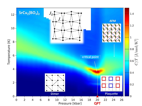 SrCu2(BO3)2 spin system phase diagram, showing start of first-order transition at absolute zero