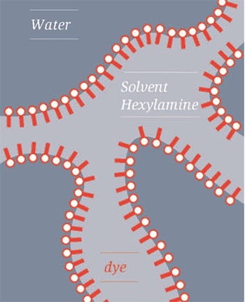 Like matches in a box, dye molecules line up at the phase boundaries of a bicontinuous emulsion