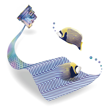 What connection could possibly exist between the stripes on tropical fish and crystal growth