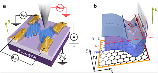 observing the quantum Hall effect in graphene