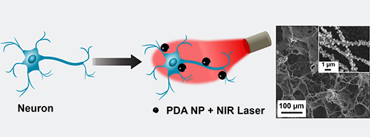 Schematic of polydopamine nanoparticle (PDA NP)-mediated photothermal stimulation of neurons