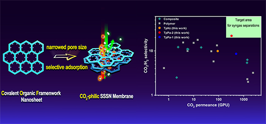 Illustration of superior CO2-selective COF nanosheet membrane for high-performance CO2/H2 separation