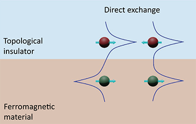 Exchange effect: One of the pathways to magnetic ordering in topological insulators is a direct exchange at the boundary of the two materials