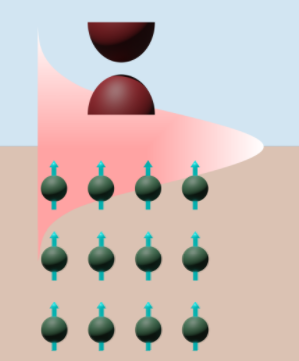 Magnetic extension: The surface state of the topological insulator extends into the neighbouring ferromagnetic insulator