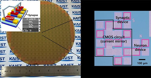 Single transistor neurons and synapses fabricated using a standard silicon CMOS process