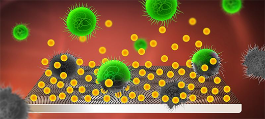 covering a graphene-based material with bactericidal molecules