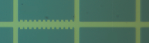 Microscope image of two 25-micrometer-long channels