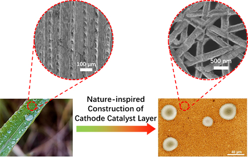 Nature-inspired design and construction of platinum nanotrough electrode