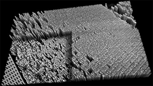 This image of a plate with 16-nanometer-wide features was captured in resolutions of less than 10 nanometers
